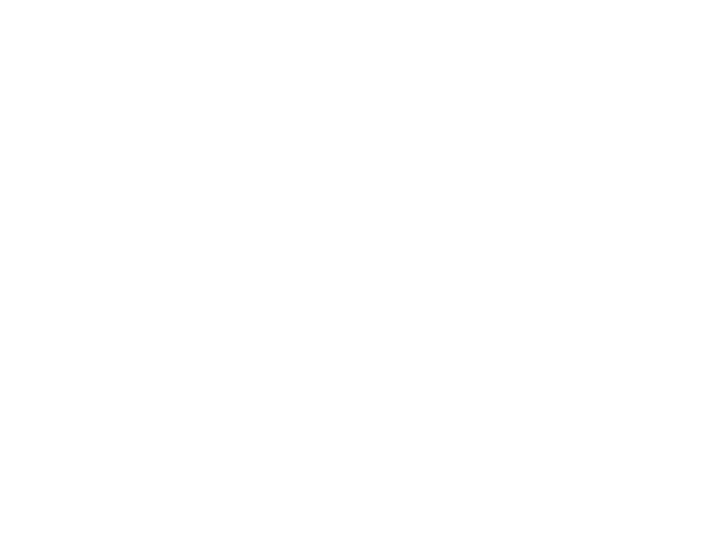 Logo IISP