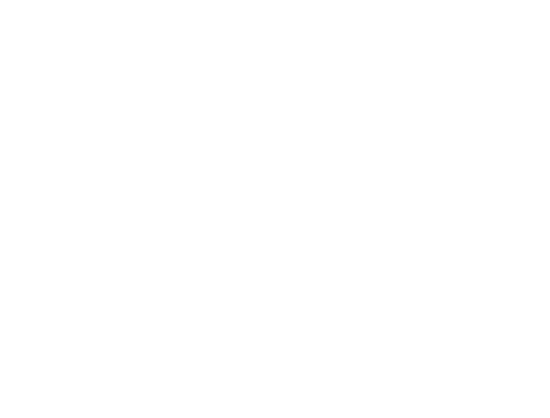 Logo UFC